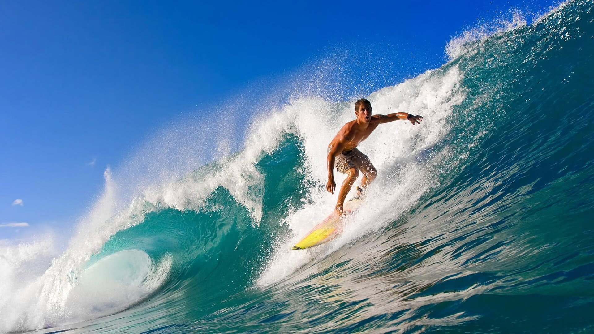 南非羚羊队：身体对抗与速度的完美融合，在比赛中展现无与伦比的统治力