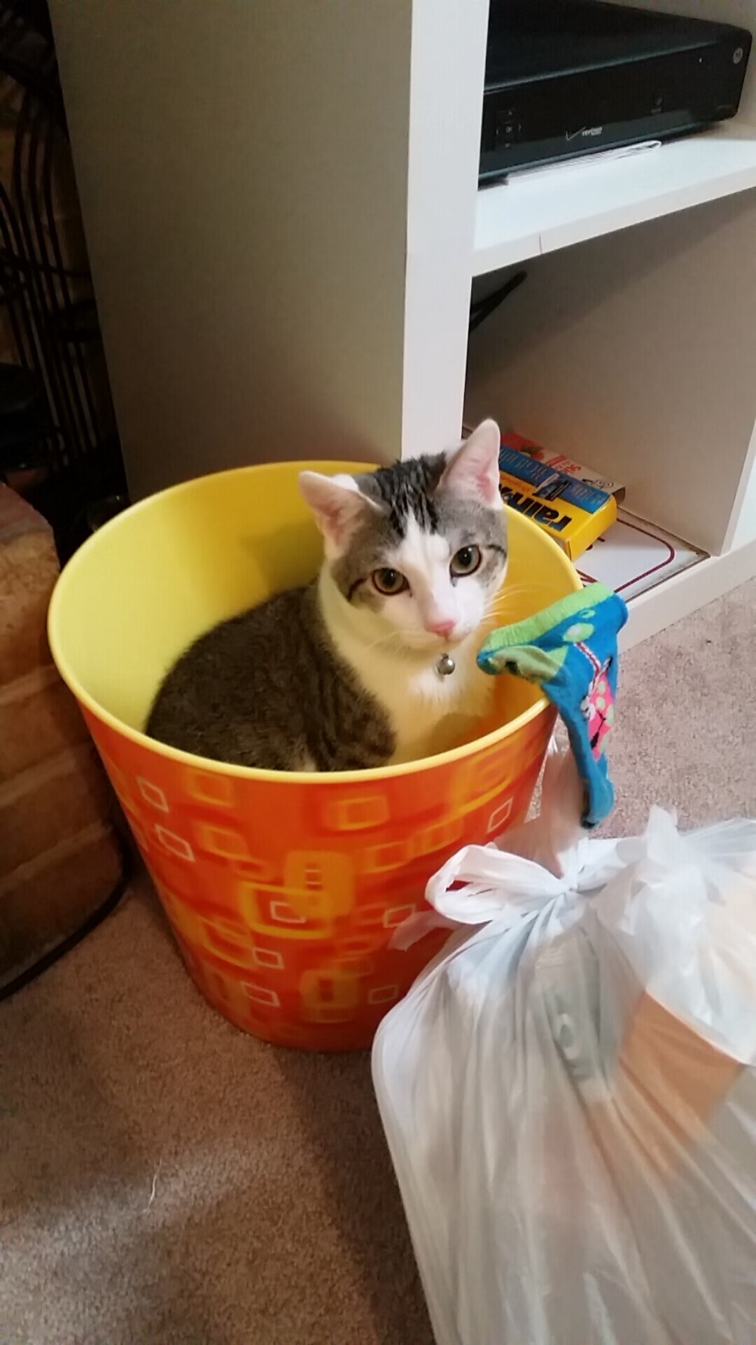 开云平台-战术大战：教练PK看谁更胜一筹，教练布置战术